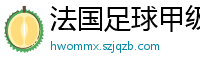 法国足球甲级联赛